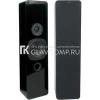 Ремонт акустики Tangent EVO E5L