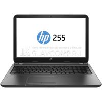 Ремонт ноутбука HP 255 G3