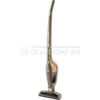 Ремонт пылесоса Electrolux ERGO02