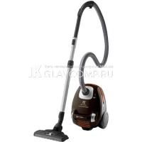 Ремонт пылесоса Electrolux Ergospace ESPARKETTO