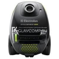 Ремонт пылесоса Electrolux Ergospace Green ZEG301