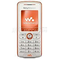 Ремонт телефона Sony Ericsson W200i