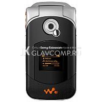 Ремонт телефона Sony Ericsson w300i