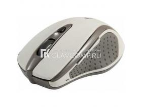 Ремонт мыши Defender Safari MM 675 (52677)