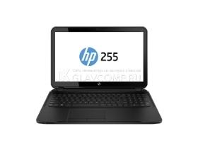 Ремонт ноутбука HP 255 G2