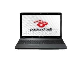 Ремонт ноутбука Packard Bell EasyNote F4211 Intel